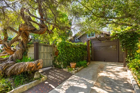 a view of a backyard