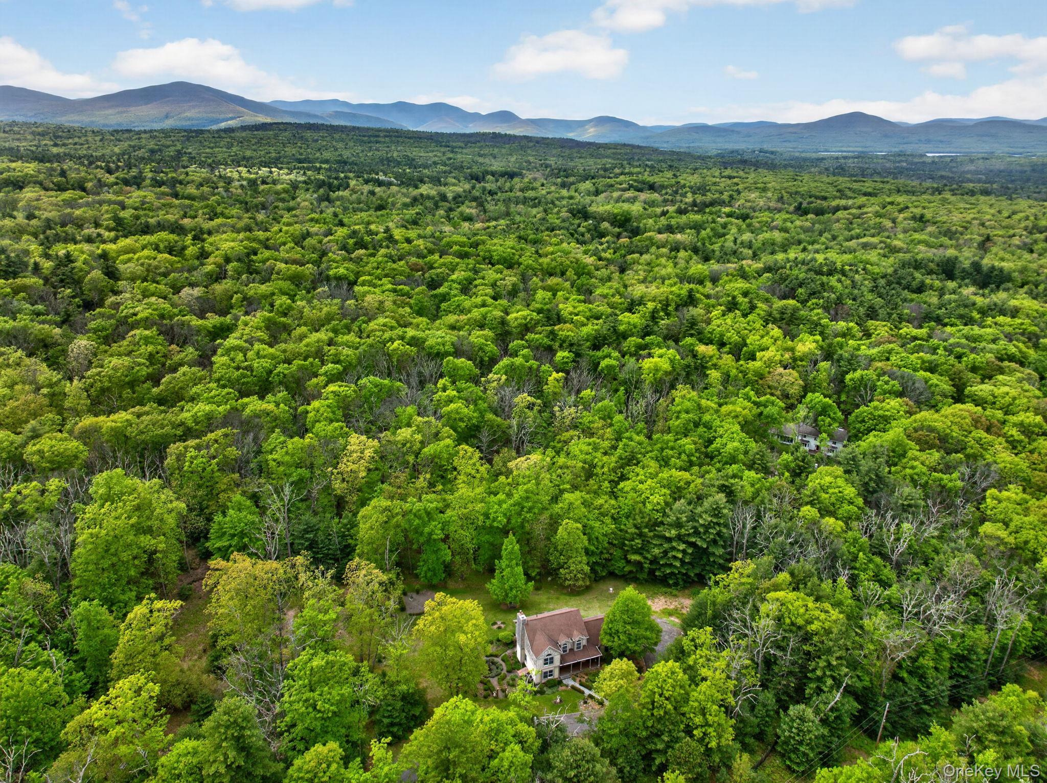 189 Bush Road Stone Ridge, NY 12484 - Photo 49 of 49 a view of a lush green hillside and houses