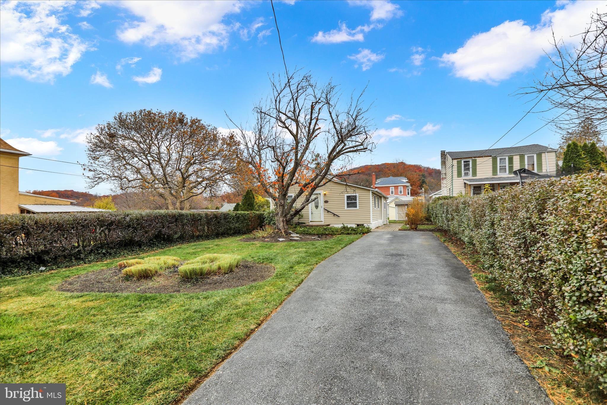 3429 Marion Street Reading, PA 19605 - Photo 4 of 23 a view of a street with a yard and a tree