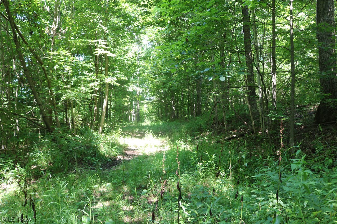 Arrowhead Road Lore City, OH 43755 - Photo 19 of 27 Gallery Image 19