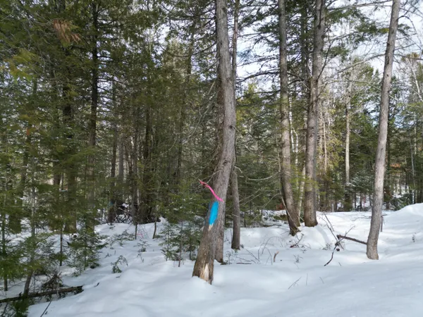 $26,500 | 12 Falcon Ridge, Lincoln, ME 04457