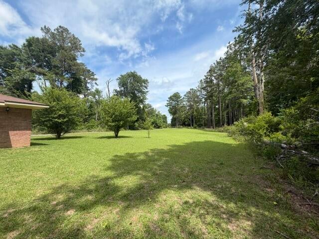234 Joe Magee Road Columbia, MS 39429 - Photo 47 of 54 Back/Side yard