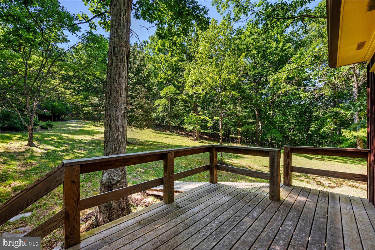 1661 Feltner Road Bluemont, VA 20135 - Photo 29 of 30 Gallery Image 29