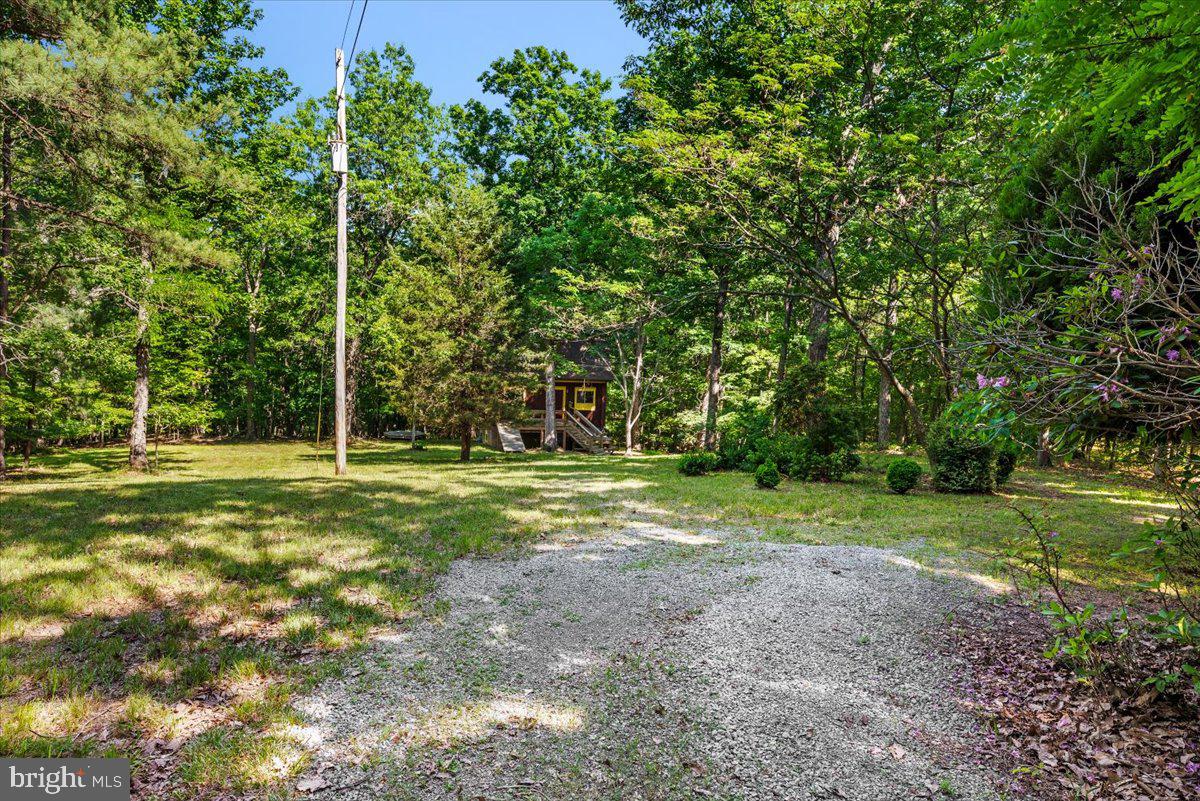 1661 Feltner Road Bluemont, VA 20135 - Photo 4 of 30 Gallery Image 4