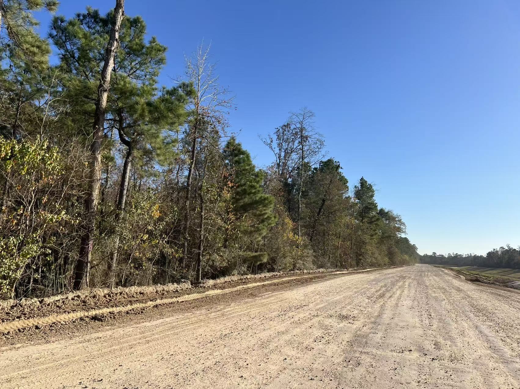 a view of a yard covered with snow in the background