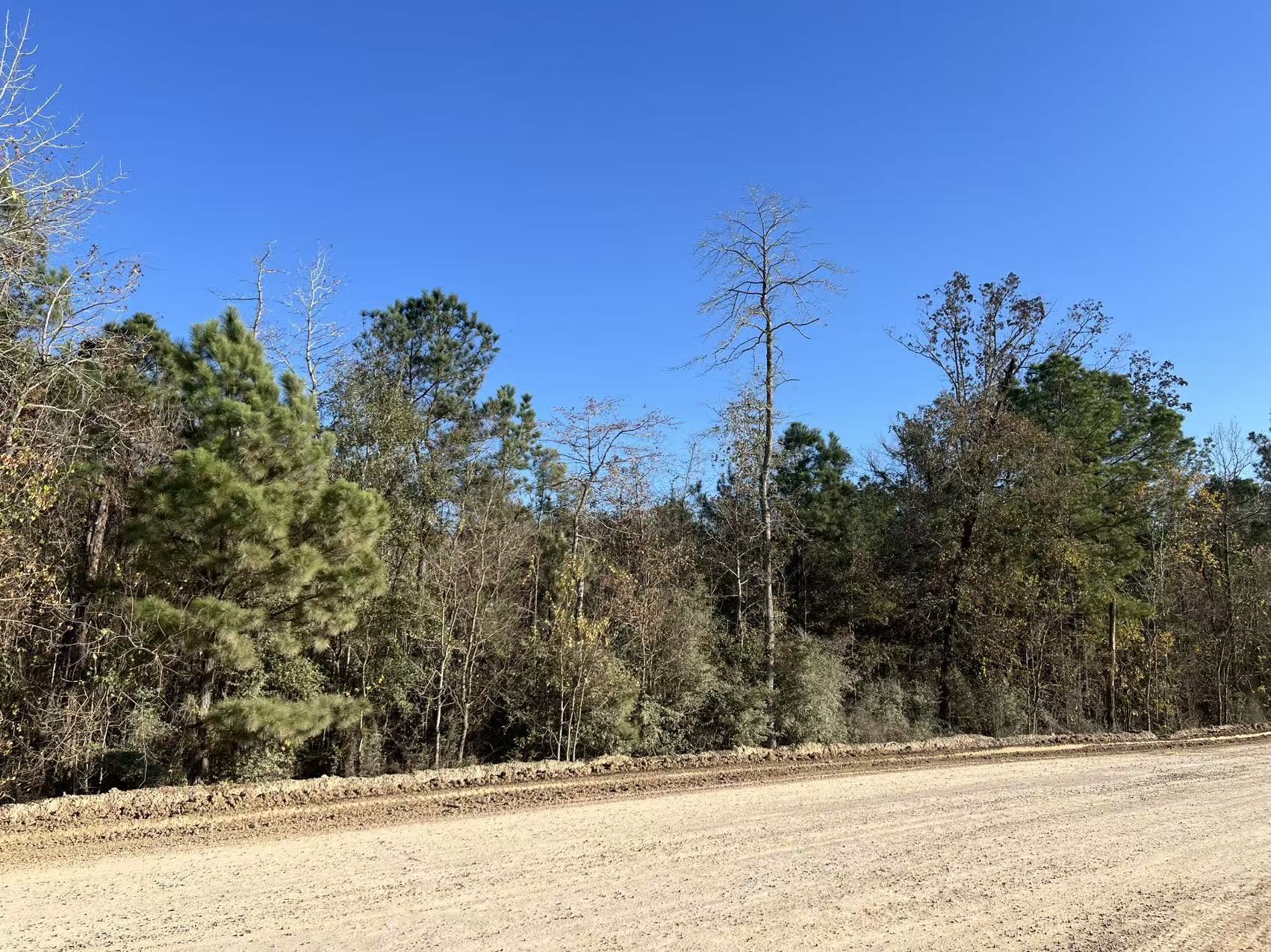 0 West Village Way Conroe, TX 77302 - Photo 2 of 6 a view of a yard