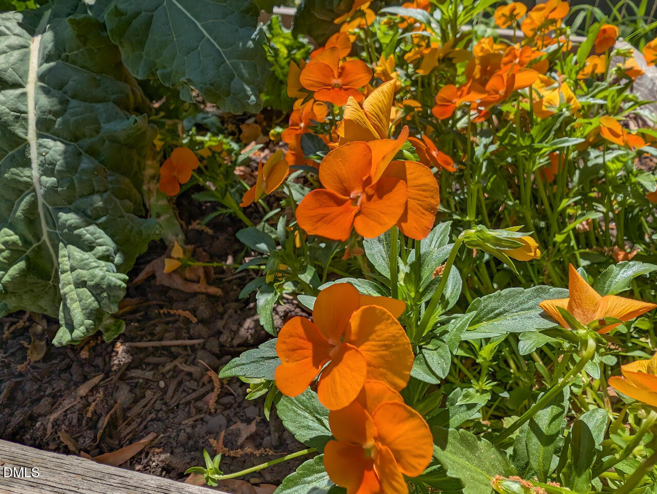 5300 Kerley Road Durham, NC 27705 - Photo 54 of 57 93