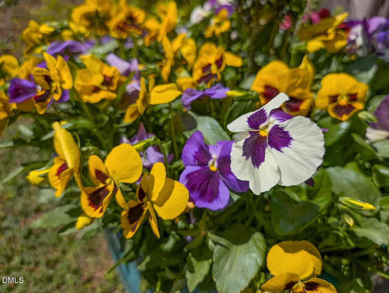 5300 Kerley Road Durham, NC 27705 - Photo 55 of 57 95