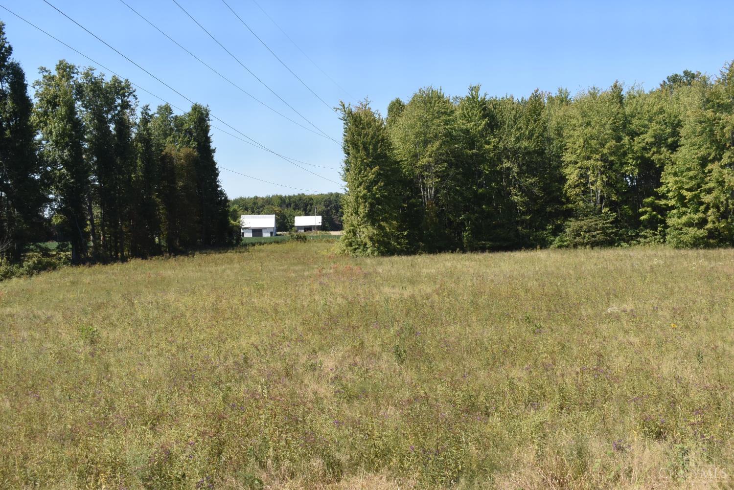 689 Duncanson Road Sardinia, OH 45171 - Photo 15 of 24 Great level pasture for the farm animals