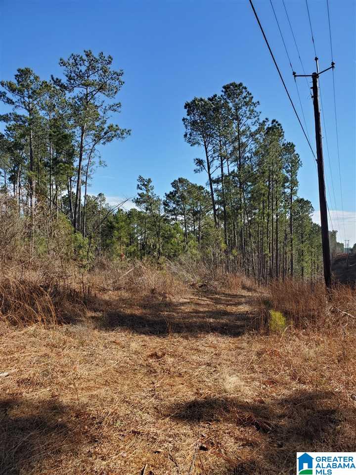 .2 Gould Road, Unit 3 Columbiana, AL 35051 - Photo 4 of 11