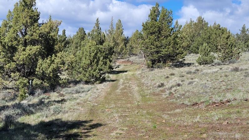 1000 Southeast Wolf Road Prineville, OR 97754 - Photo 23 of 30 image000000 (8)