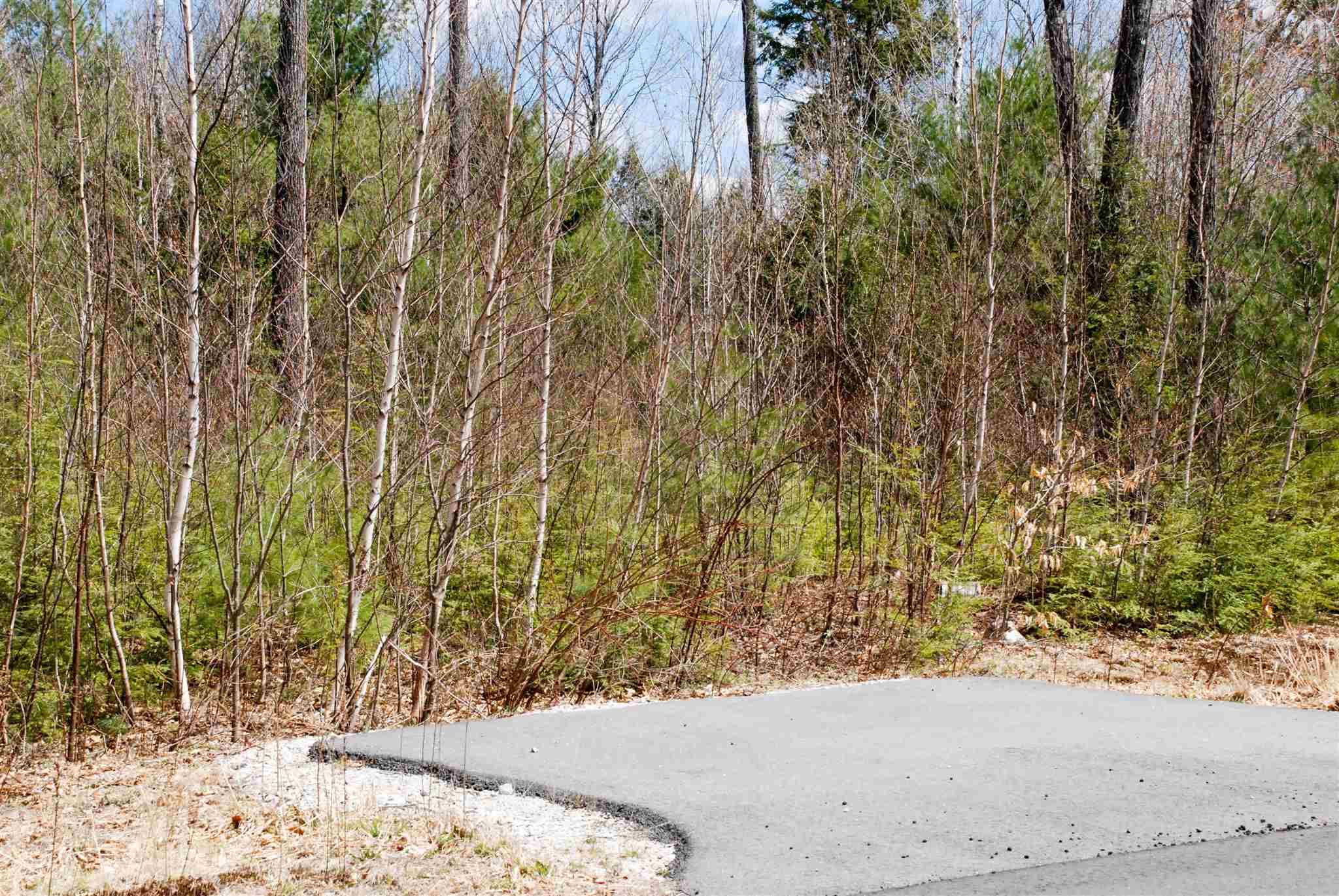 100 Grandview Road Conway, NH 03818 - Photo 4 of 7