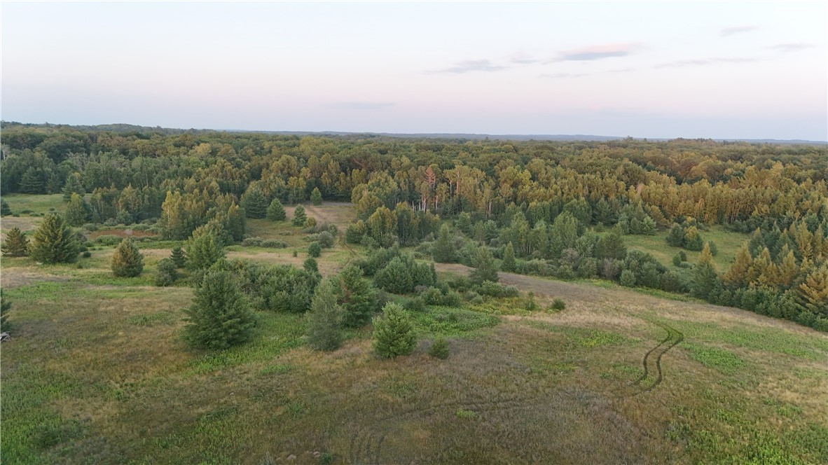 7581 South Marsik Road Lake Nebagamon, WI 54849 - Photo 10 of 12