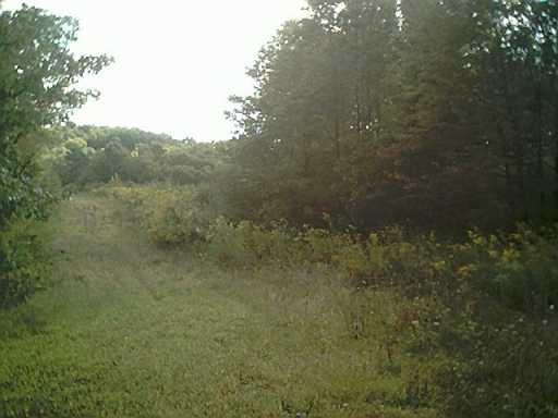 286 Monier Road Gibsonia, PA 15044 - Photo 3 of 5 Other.