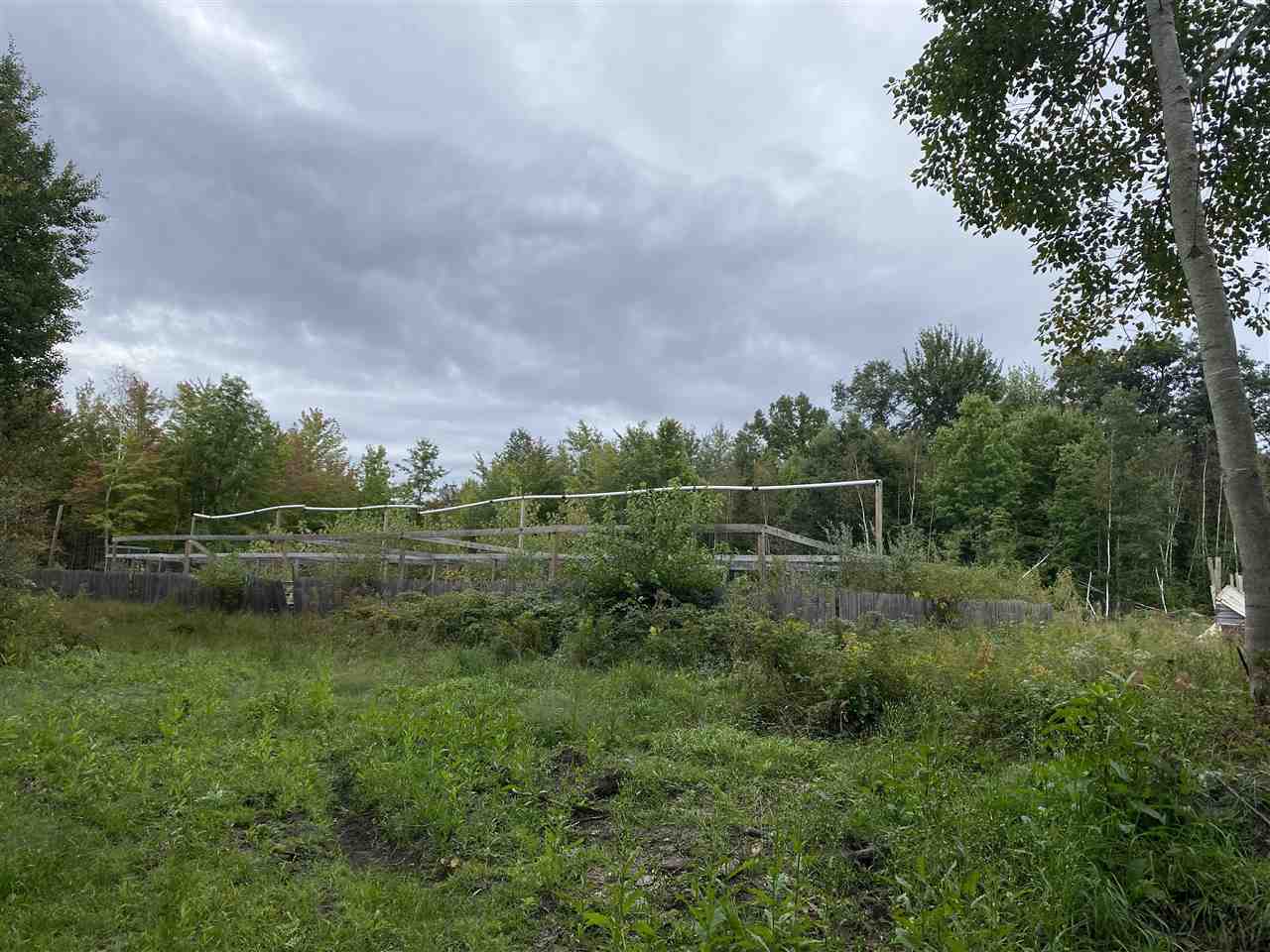 14660 South Chapin Road Elsie, MI 48831 - Photo 11 of 19