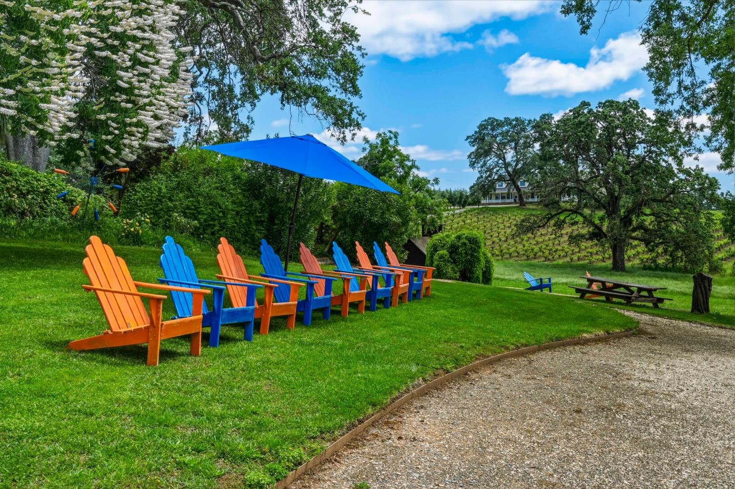 10120 Shenandoah Road Plymouth, CA 95669 - Photo 72 of 86 a view of a wooden deck with chairs and a yard