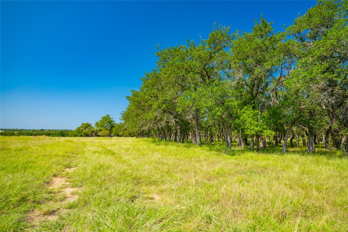 3 County Road 228 Florence, TX 76527 - Photo 12 of 15 a view of an ocean from a yard