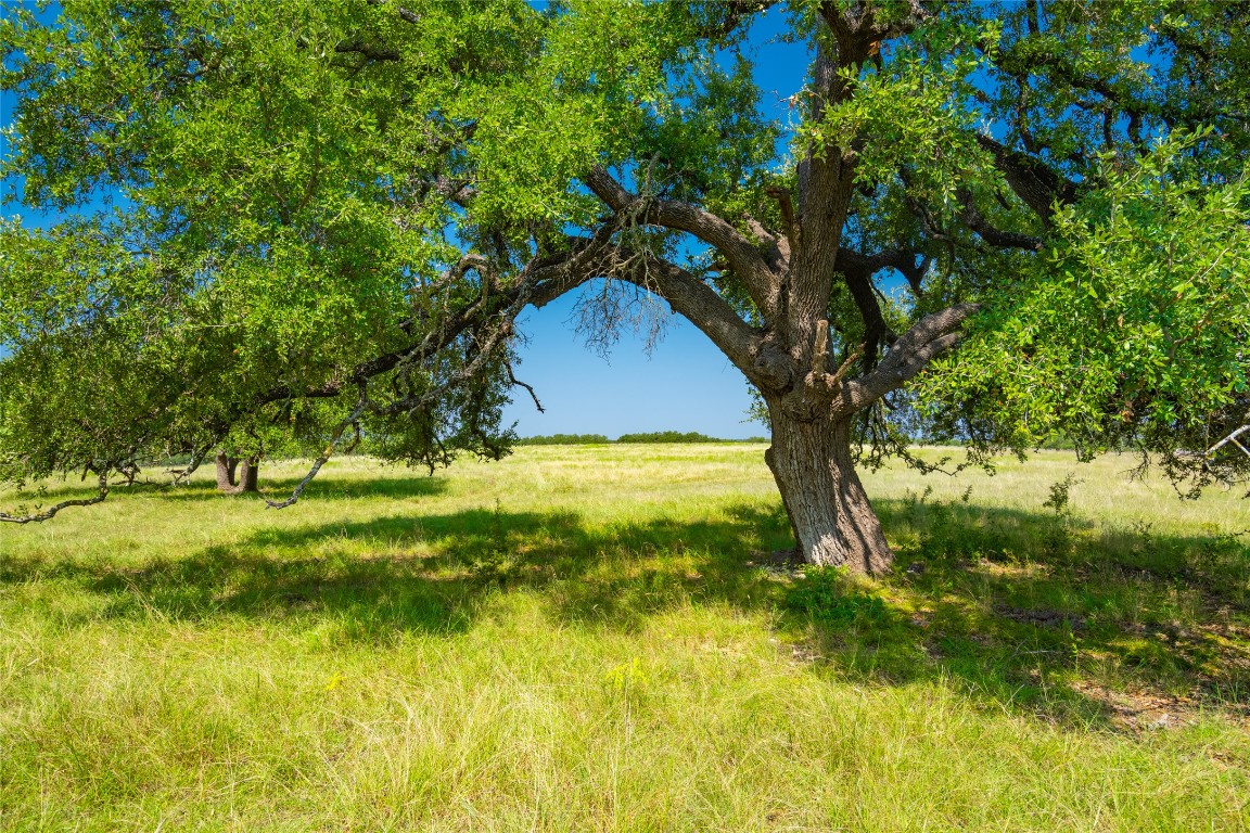 3 County Road 228 Florence, TX 76527 - Photo 3 of 15 a garden view