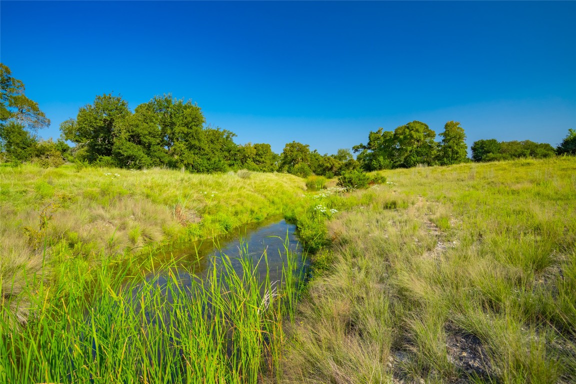 3 County Road 228 Florence, TX 76527 - Photo 4 of 15 a view of a large yard with plants and large trees