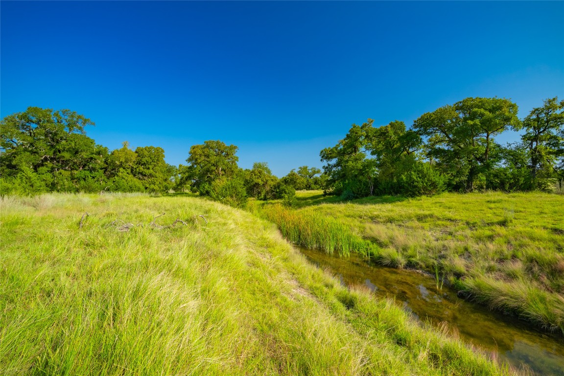 3 County Road 228 Florence, TX 76527 - Photo 8 of 15 a view of yard with swimming pool and green space