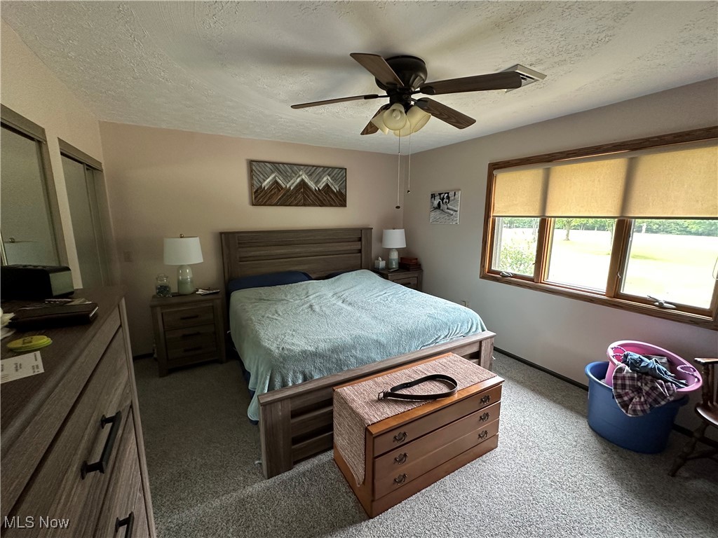 354 Big Bass Road Willard, OH 44890 - Photo 21 of 29 Bedroom featuring a textured ceiling, light colored carpet, and ceiling fan