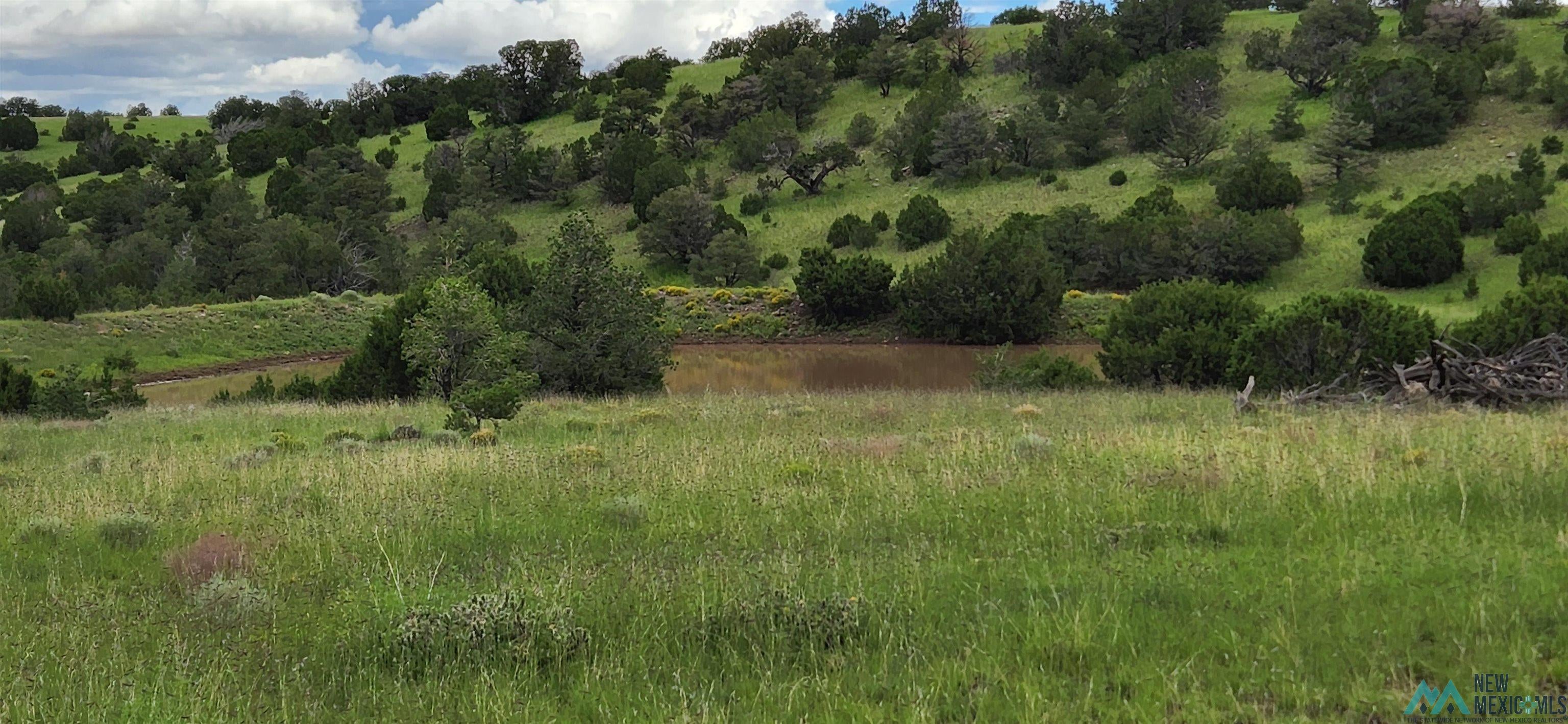Powerline Road Quemado, NM 87829 - Photo 1 of 1