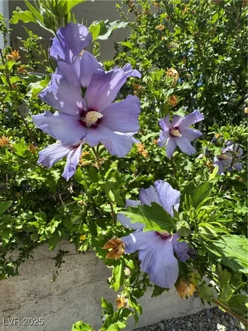 $315,000 | 191 South Booker, Tonopah, NV 89049