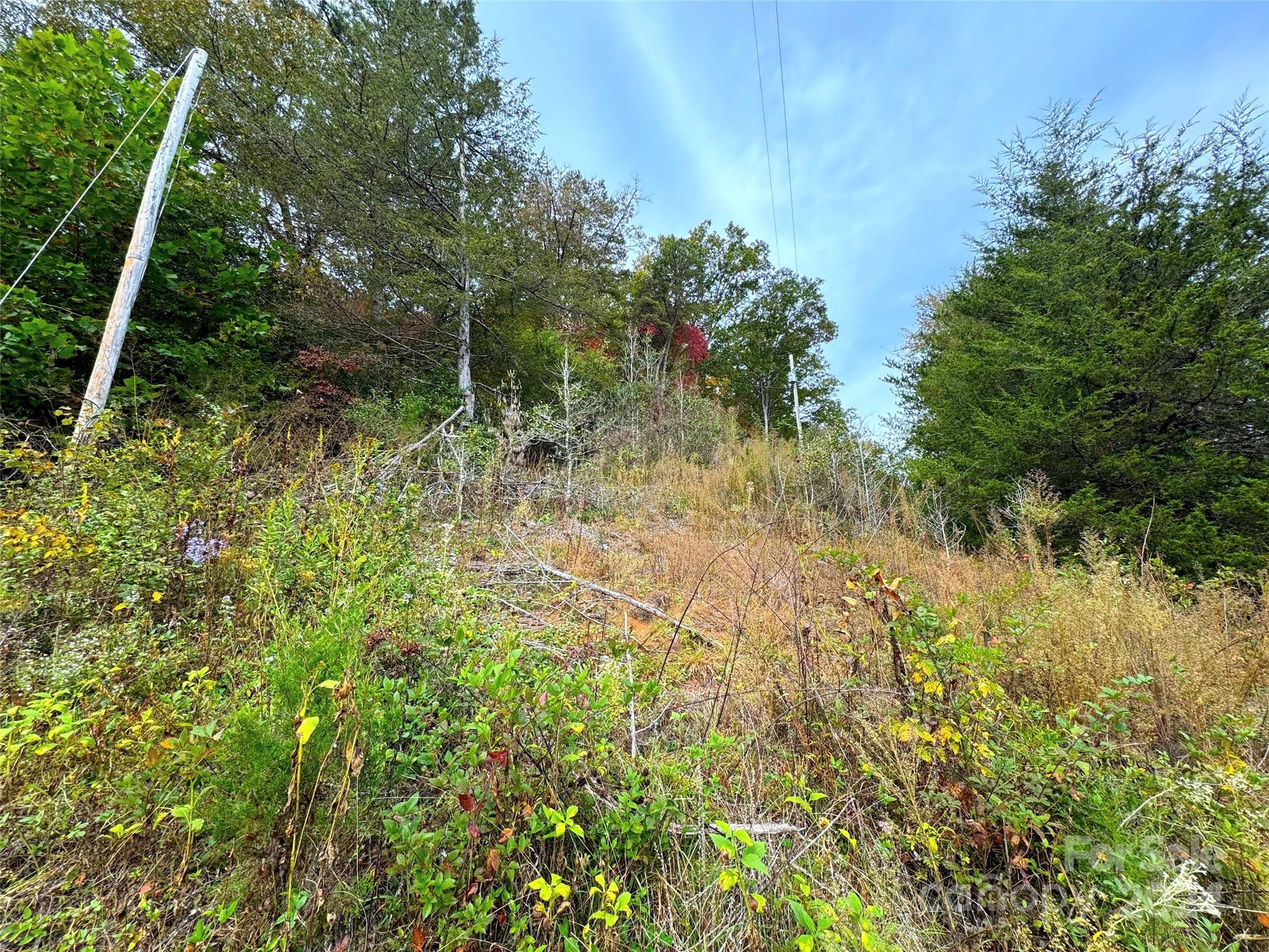 Tbd Rose Creek Road Franklin, NC 28734 - Photo 12 of 18 Gallery Image 12