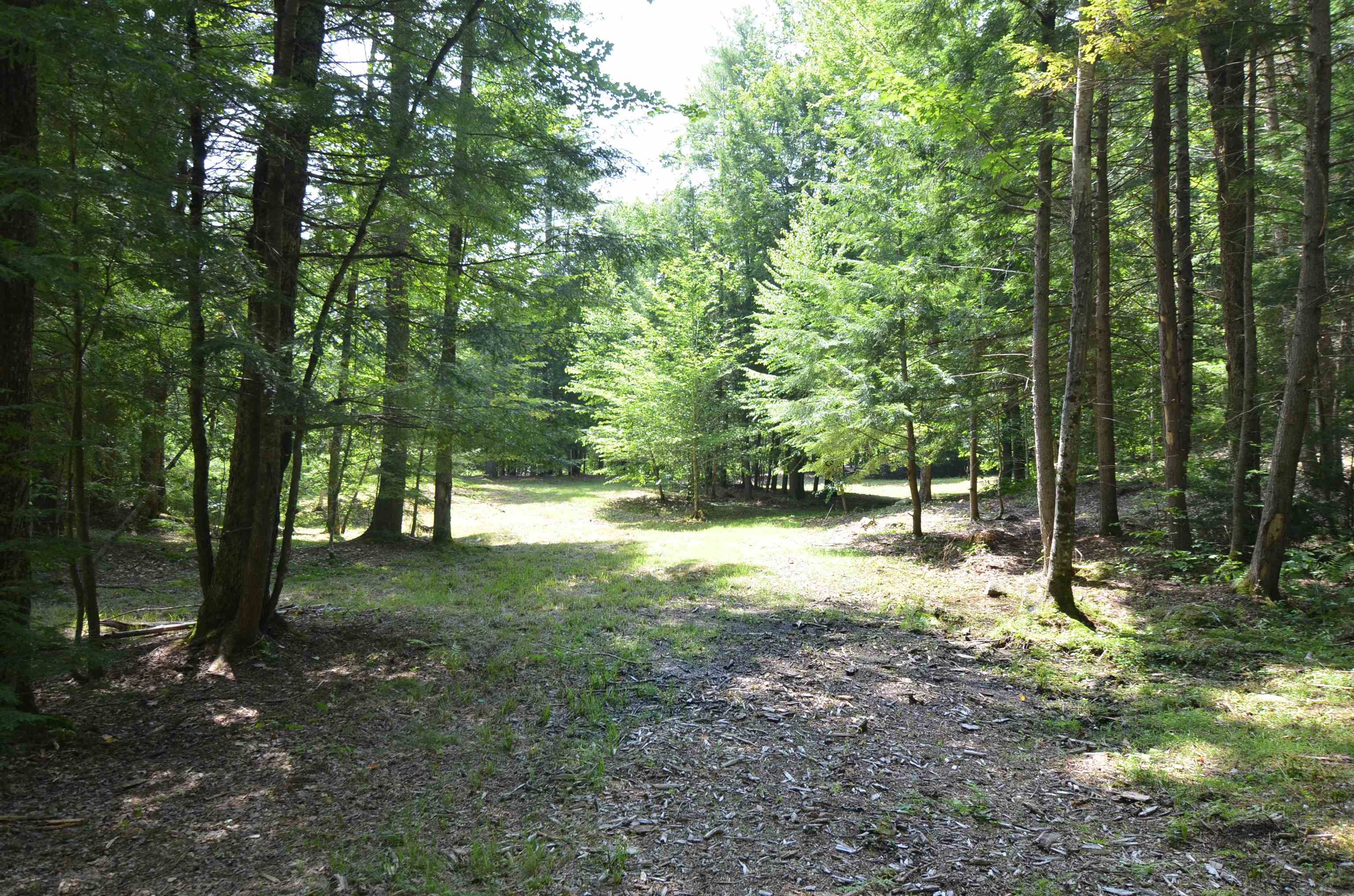 205 Shindagan Road Wilmot, NH 03287 - Photo 1 of 1