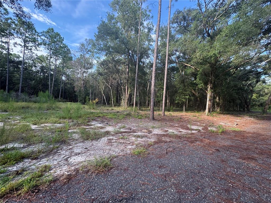 North Preston Road Brooksville, FL 34601 - Photo 11 of 20 Gallery Image 11