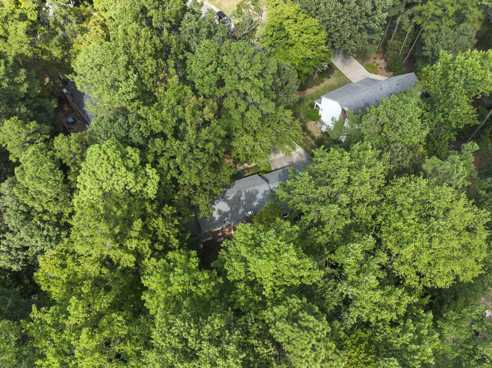 6109 Redmond Court Raleigh, NC 27612 - Photo 7 of 33 Photo 7