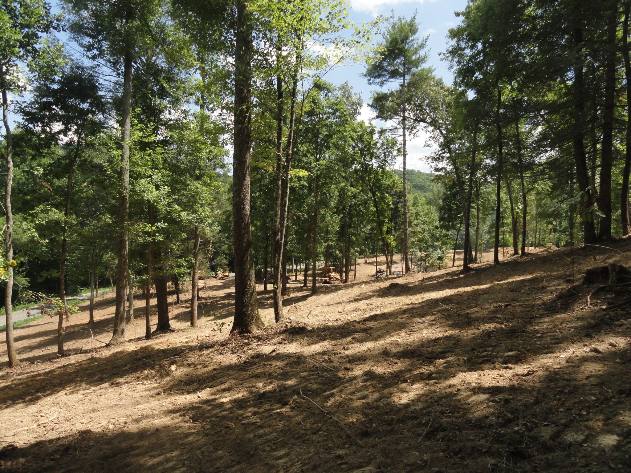 2277 Tellico Reliance Road Reliance, TN 37369 - Photo 23 of 34 a view of road with trees