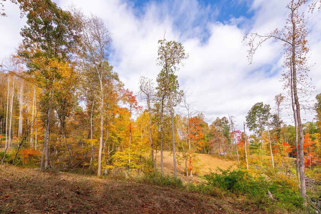 2307 Rush Fork Road Southwest, Unit 7167 Floyd, VA 24091 - Photo 10 of 31 Gallery Image 10