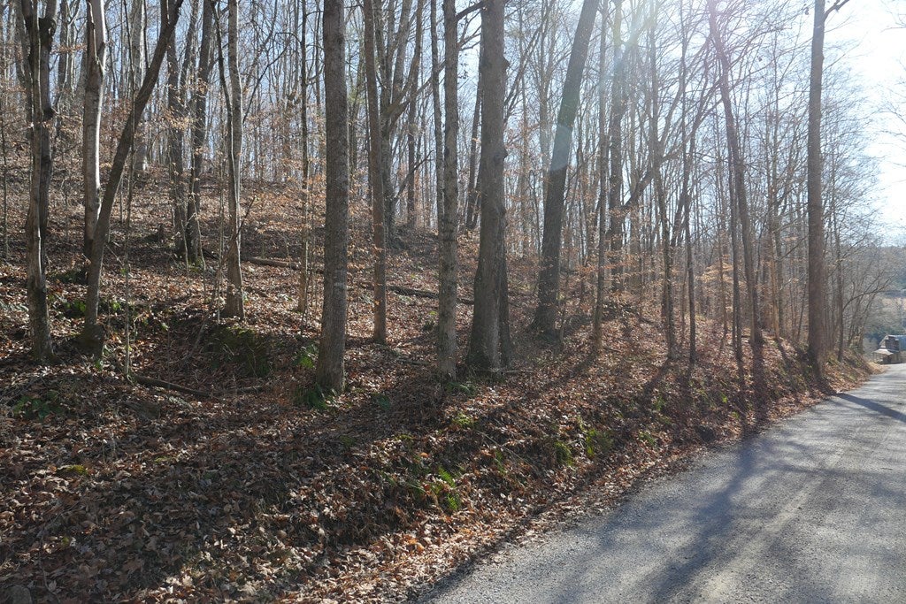 Tbd Tbd Dean Road Rose Hill, VA 24281 - Photo 32 of 97 Gallery Image 32