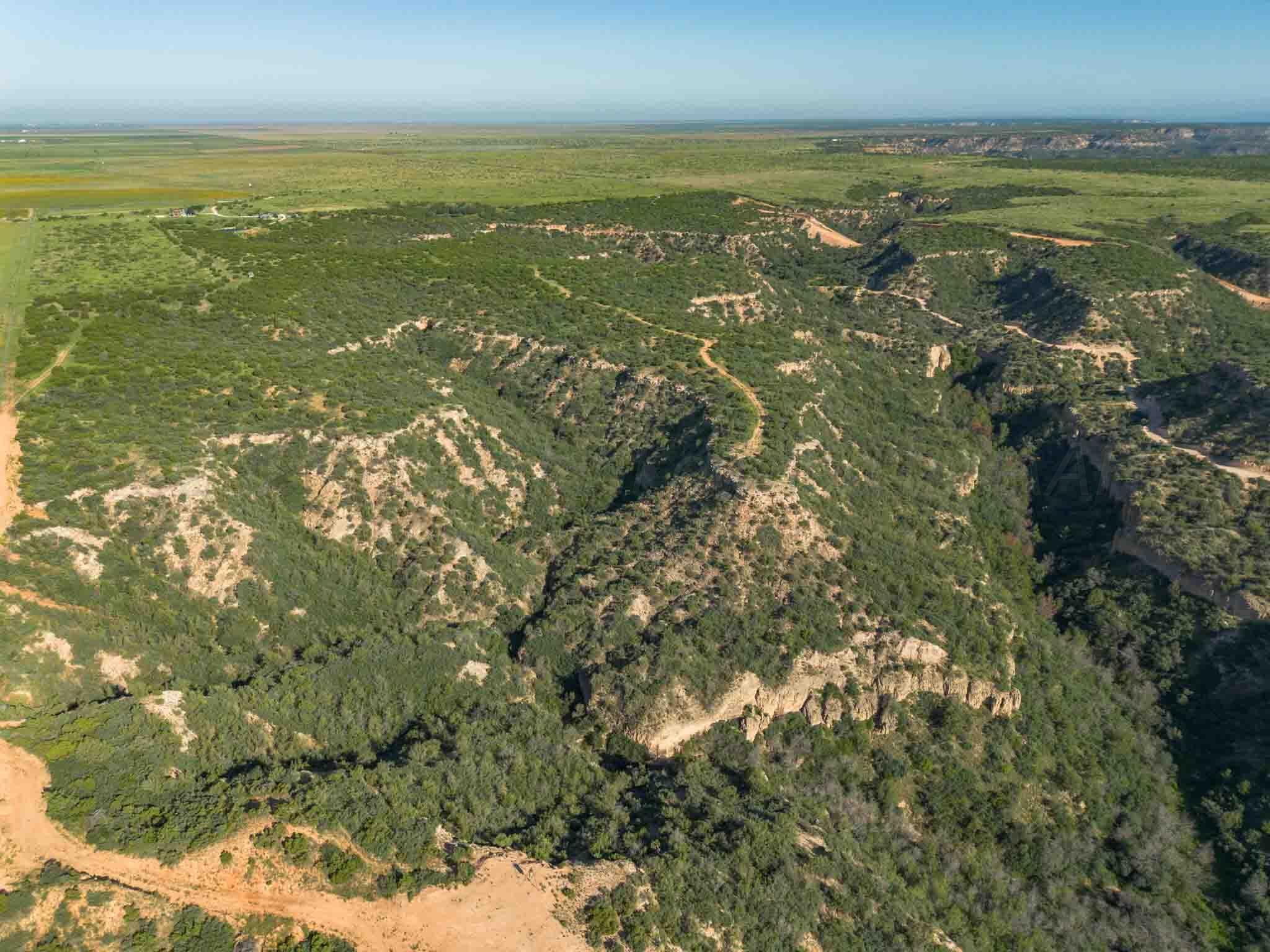 Whistling Winds Ranch Silverton, TX 79257 - Photo 114 of 140 Whistling_Winds-61