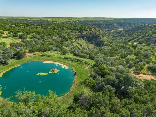 $3,550,000 | Whistling Winds Ranch, Silverton, TX 79257