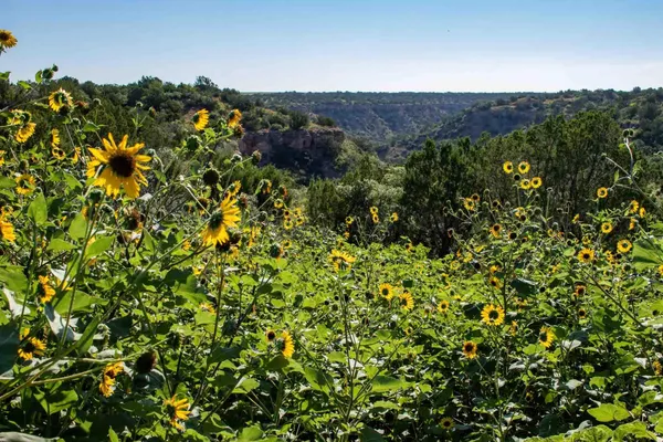 $3,550,000 | Whistling Winds Ranch, Silverton, TX 79257