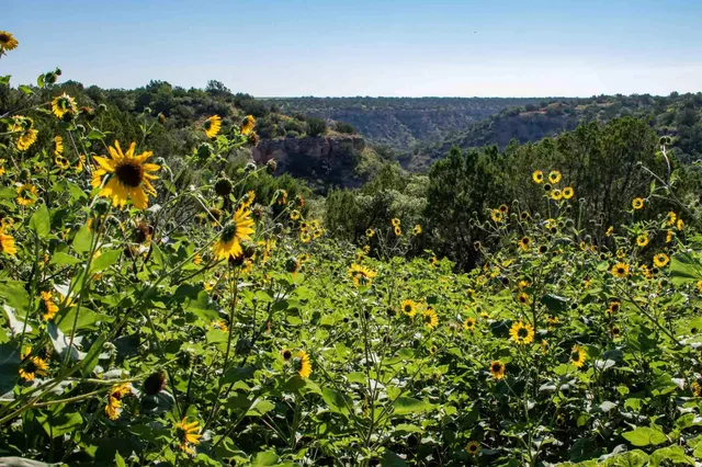 $3,550,000 | Whistling Winds Ranch, Silverton, TX 79257