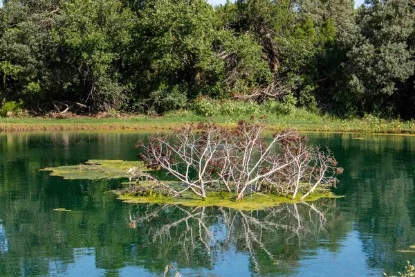 $3,550,000 | Whistling Winds Ranch, Silverton, TX 79257