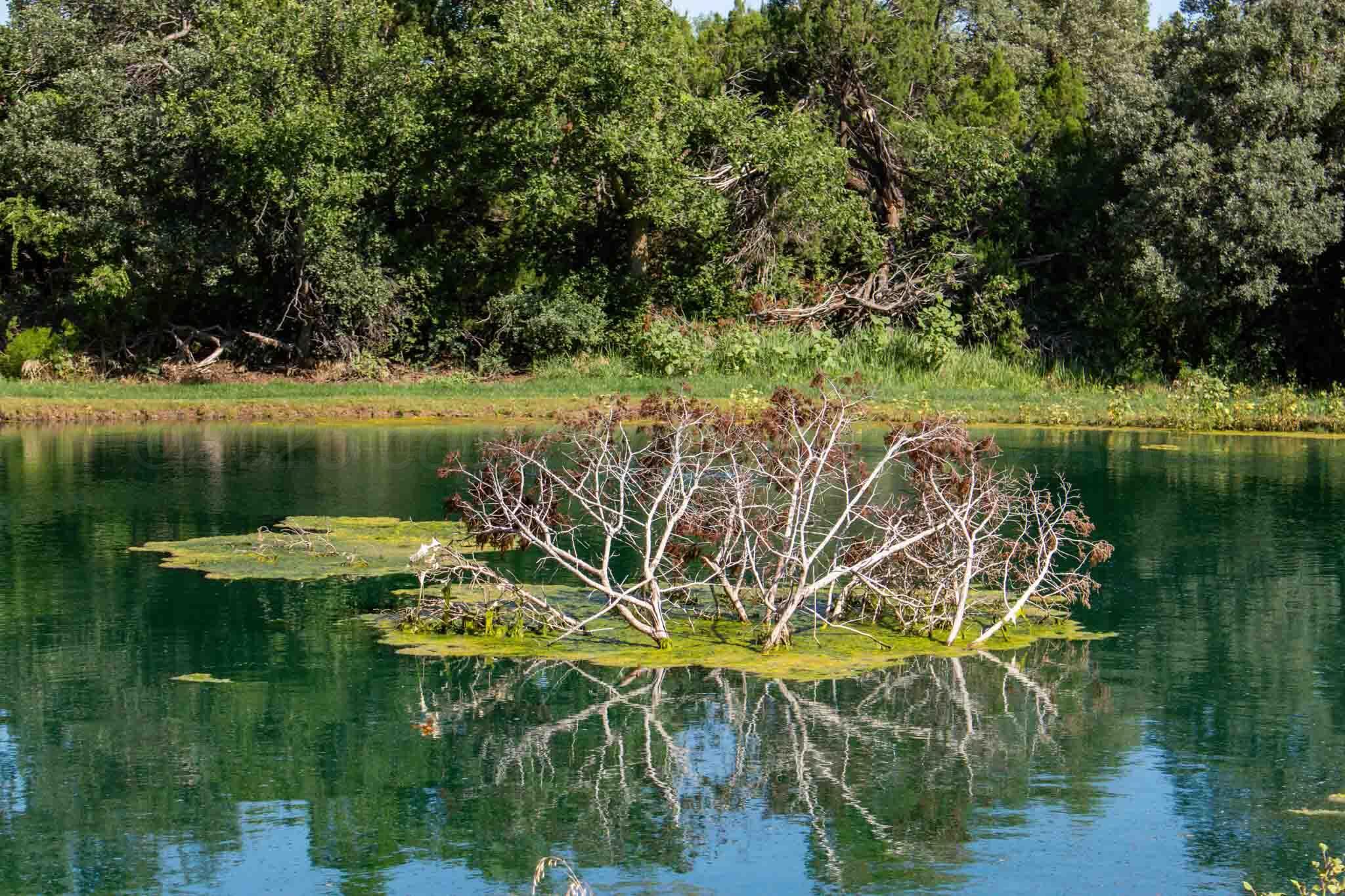 Whistling Winds Ranch Silverton, TX 79257 - Photo 140 of 140 Whistling_Winds-90