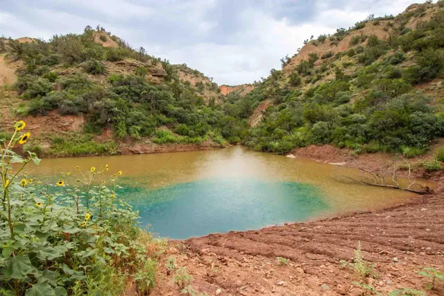 $3,550,000 | Whistling Winds Ranch, Silverton, TX 79257