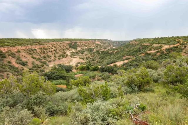 $3,550,000 | Whistling Winds Ranch, Silverton, TX 79257