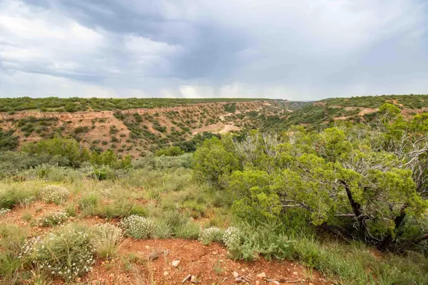 $3,550,000 | Whistling Winds Ranch, Silverton, TX 79257
