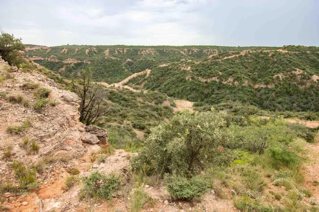 $3,550,000 | Whistling Winds Ranch, Silverton, TX 79257