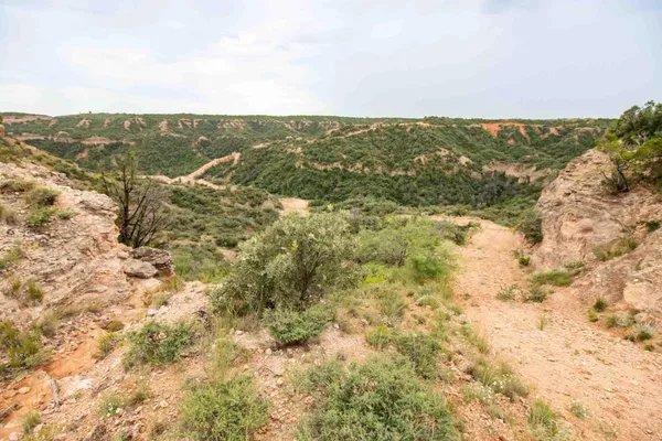 $3,550,000 | Whistling Winds Ranch, Silverton, TX 79257