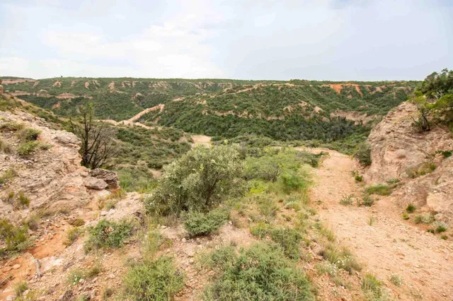 $3,550,000 | Whistling Winds Ranch, Silverton, TX 79257