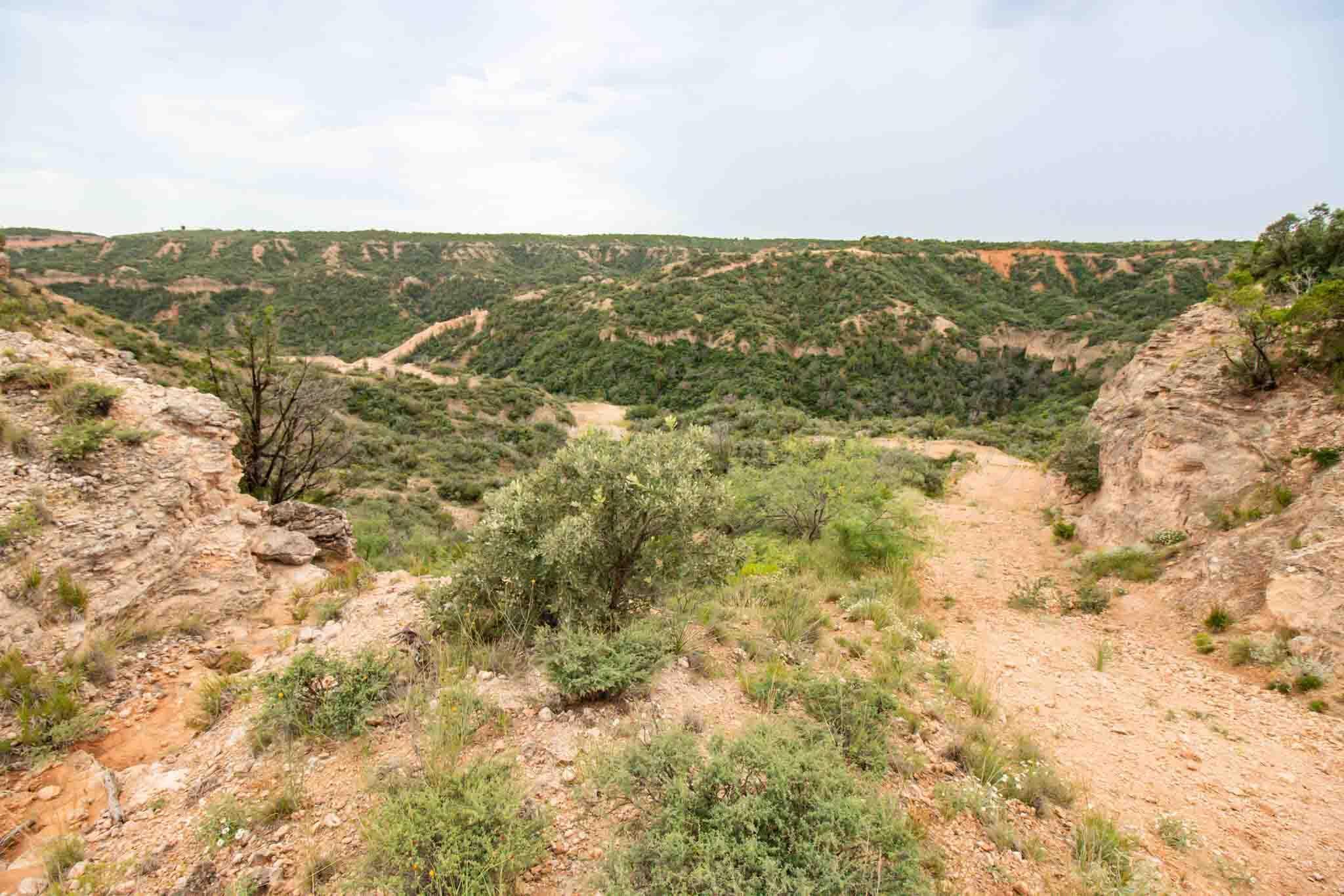 Whistling Winds Ranch Silverton, TX 79257 - Photo 46 of 140 Whistling_Winds-79
