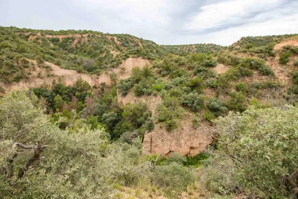 $3,550,000 | Whistling Winds Ranch, Silverton, TX 79257