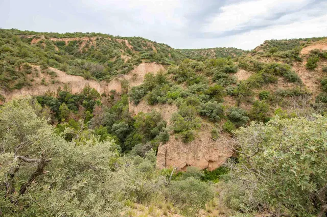 $3,550,000 | Whistling Winds Ranch, Silverton, TX 79257