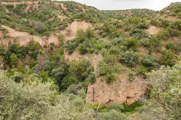 $3,550,000 | Whistling Winds Ranch, Silverton, TX 79257